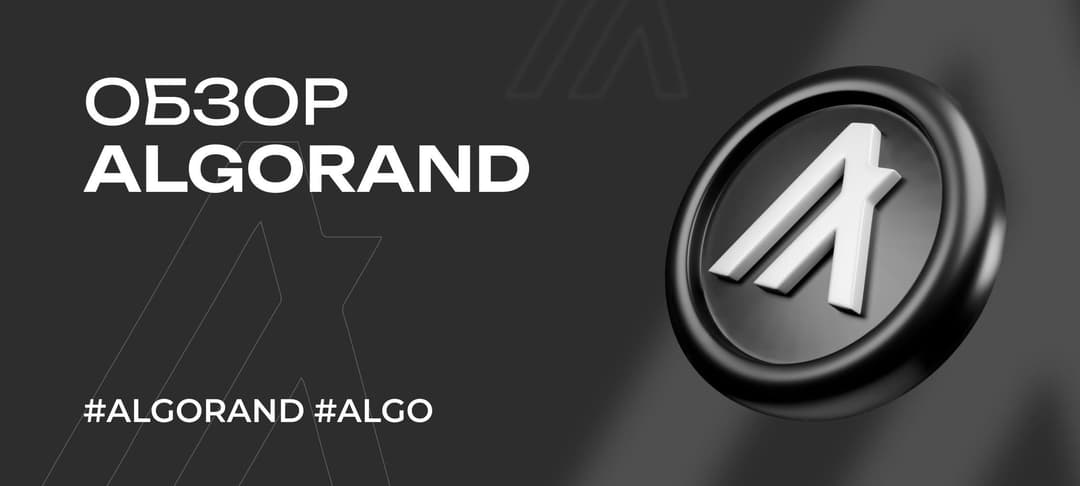 Криптовалюта Algorand — обзор монеты ALGO