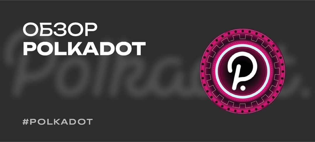 Что такое Polkadot — принцип работы, обзор токена DOT, прогноз цены