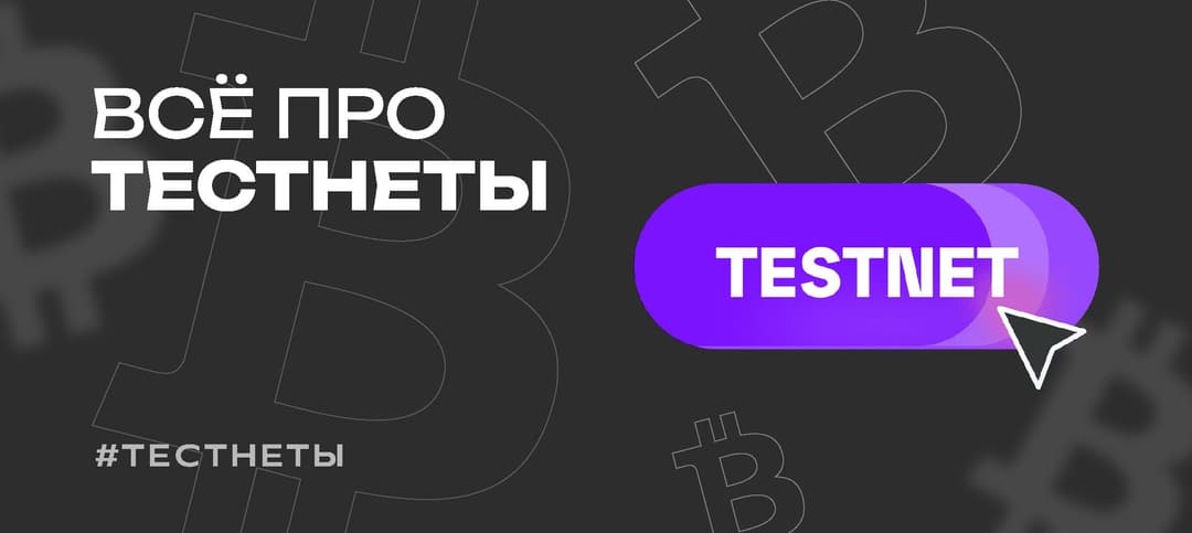 Что такое тестнеты и ноды в крипте — как на них заработать