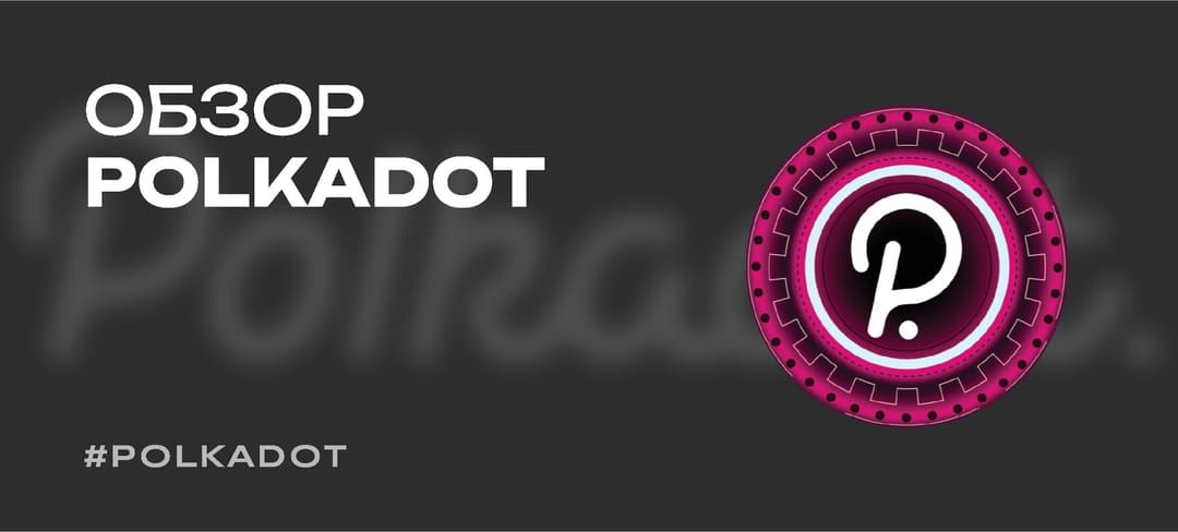 Что такое Polkadot — принцип работы, обзор токена DOT, прогноз цены